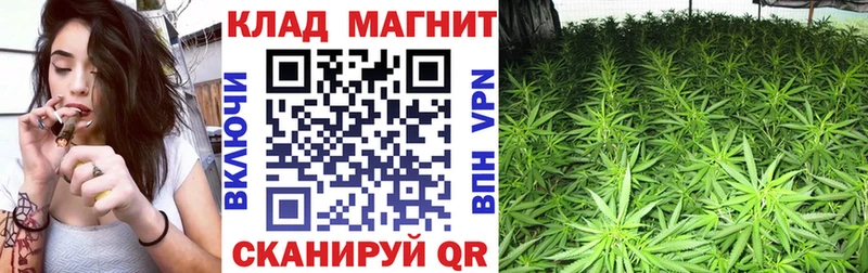 Цена Полярный Марихуана COCAIN НБОМе Меф Гашиш Псилоцибиновые грибы