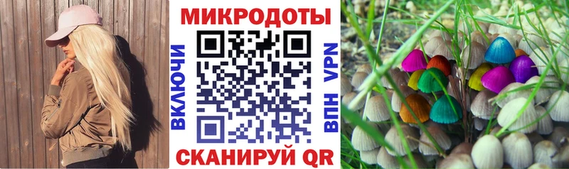 где купить наркоту  Полярный  Псилоцибиновые грибы Psilocybine cubensis 